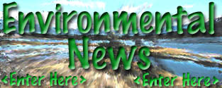 Summer Environmental News